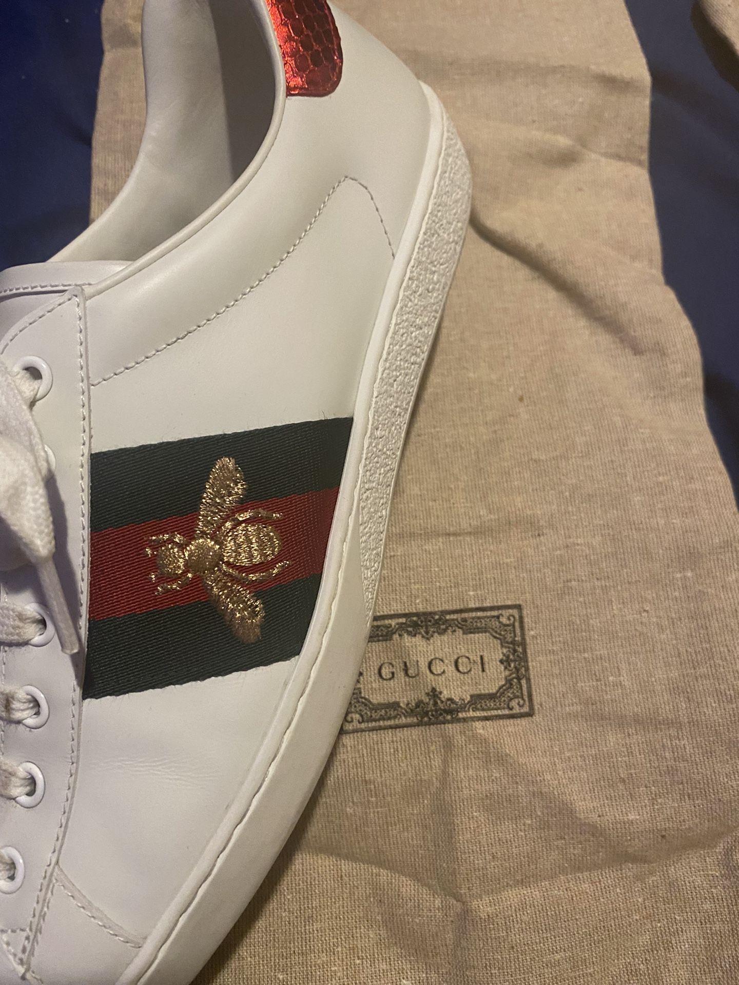 Gucci Aces Men’s Shoes Sz