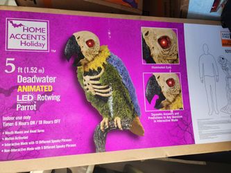 Rotwing parrot pirate bird