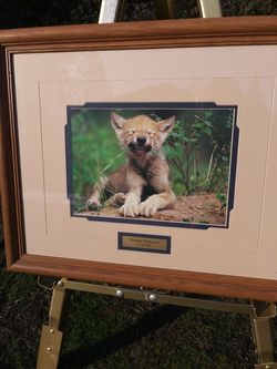 Simple Pleasures by Art Wolfe 16x20 oat frame
