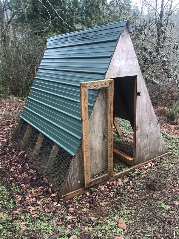 8ft tall Large chicken coop for Sale in Olympia, WA OfferUp
