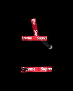 Leash And Harness Set