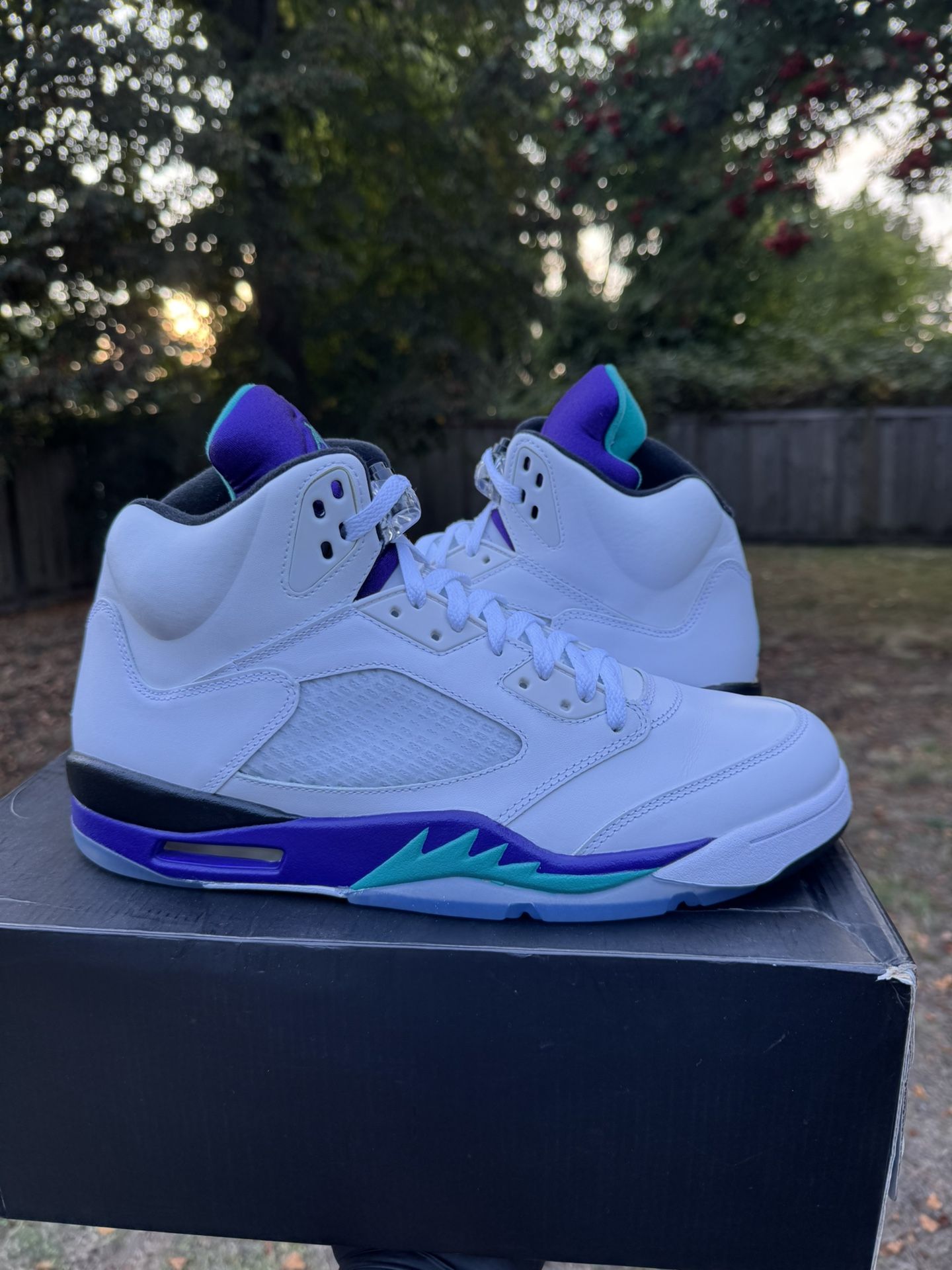 Air Jordan Retro 5 Grape Size 12