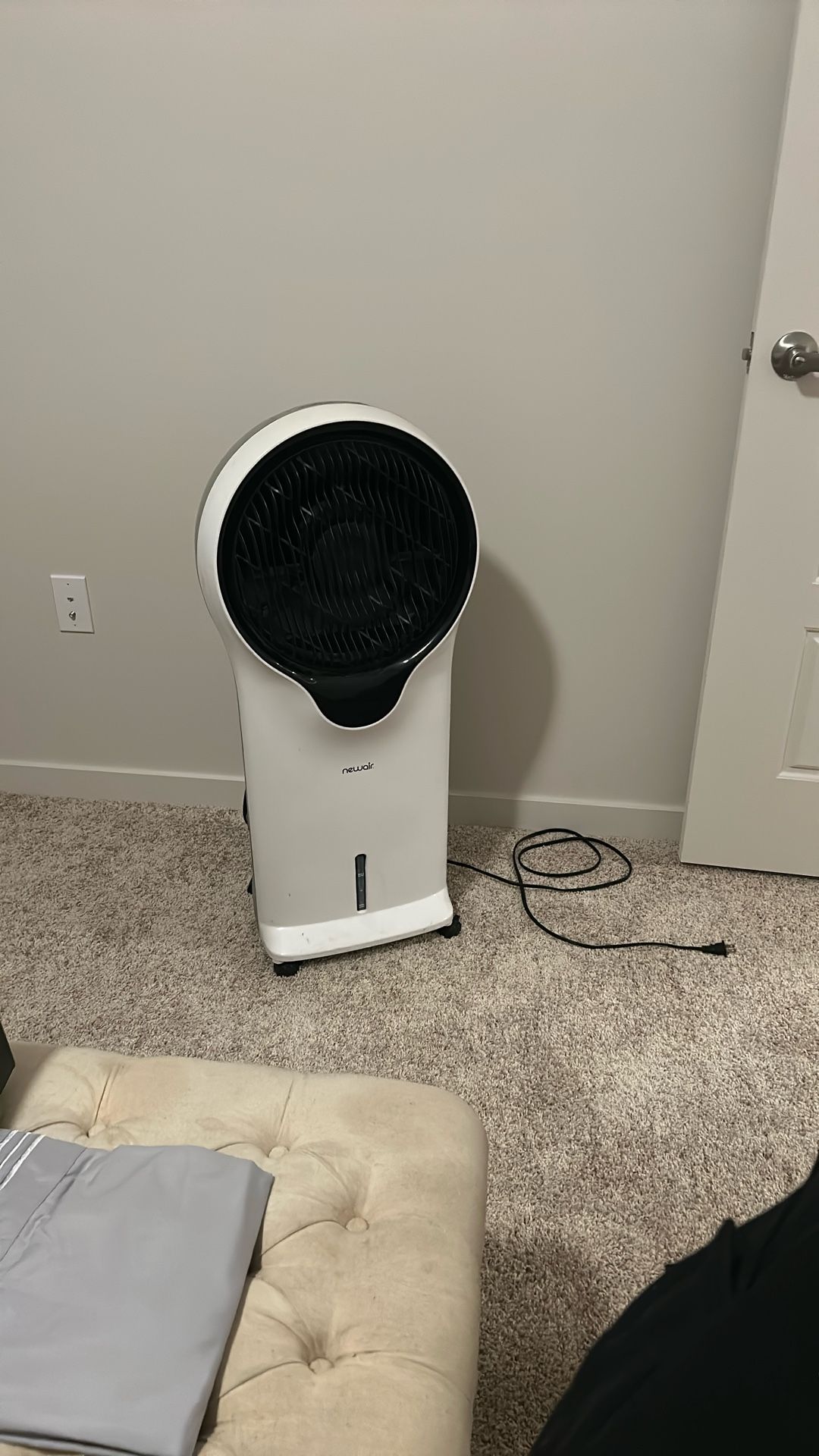 Fan 
