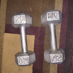 Pair Of 20 Lb Dumbbells 