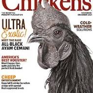 Chicken Magazine