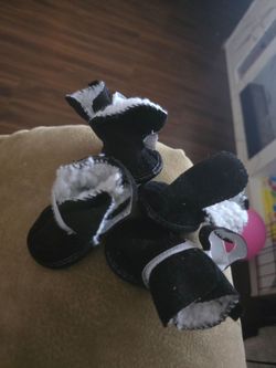 Dog items