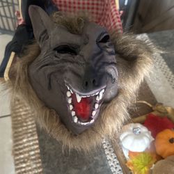 Wolf And Basket Both For $30
