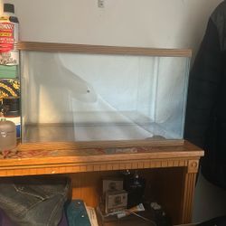 Small Ten Gallon Tank 