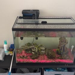 Complete fish tank setup 