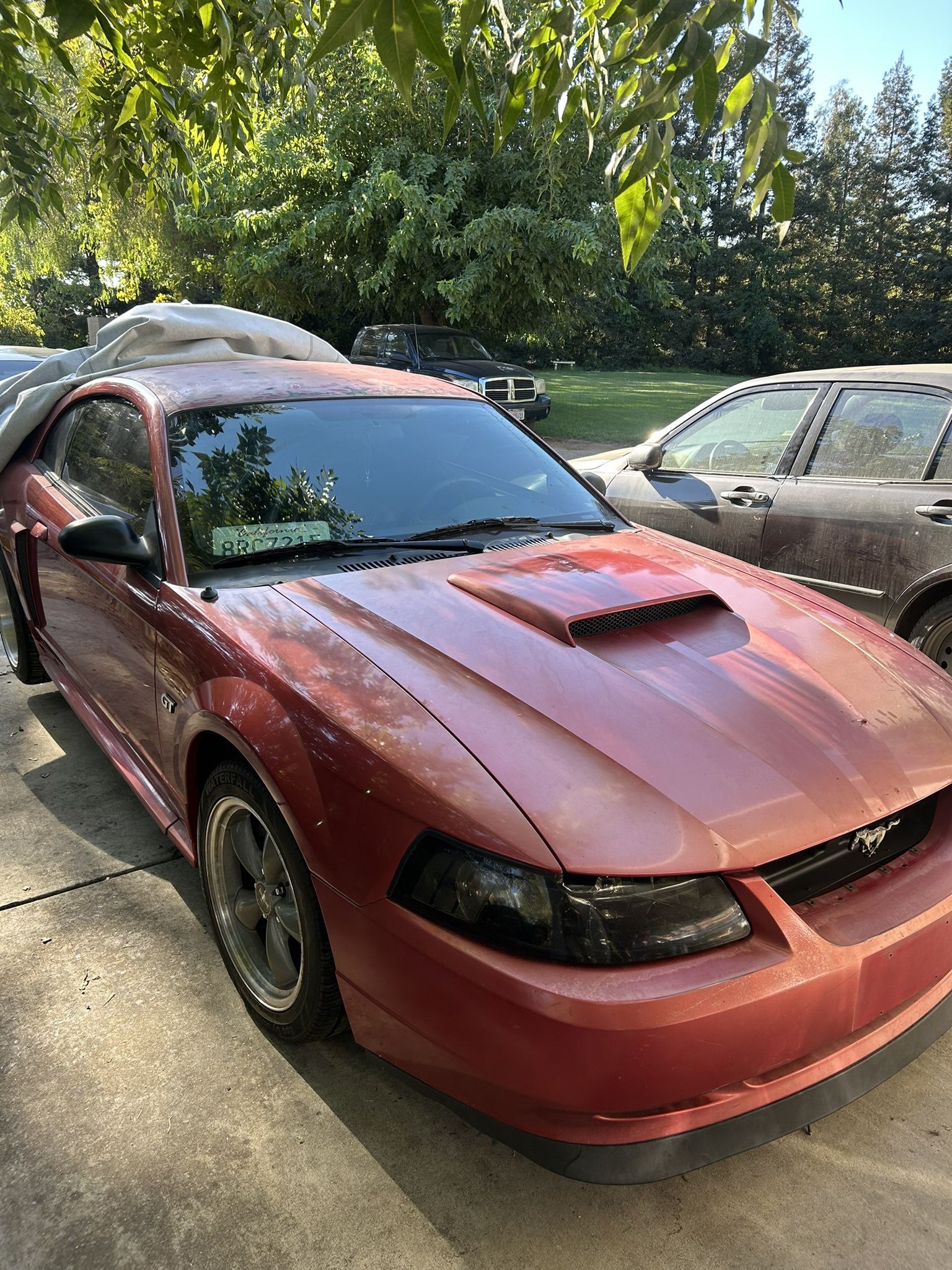 2002 Ford Mustang