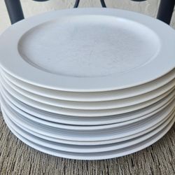 10 Large Plates Diameter 10.75"
