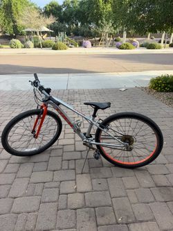 Kids Trek Bike