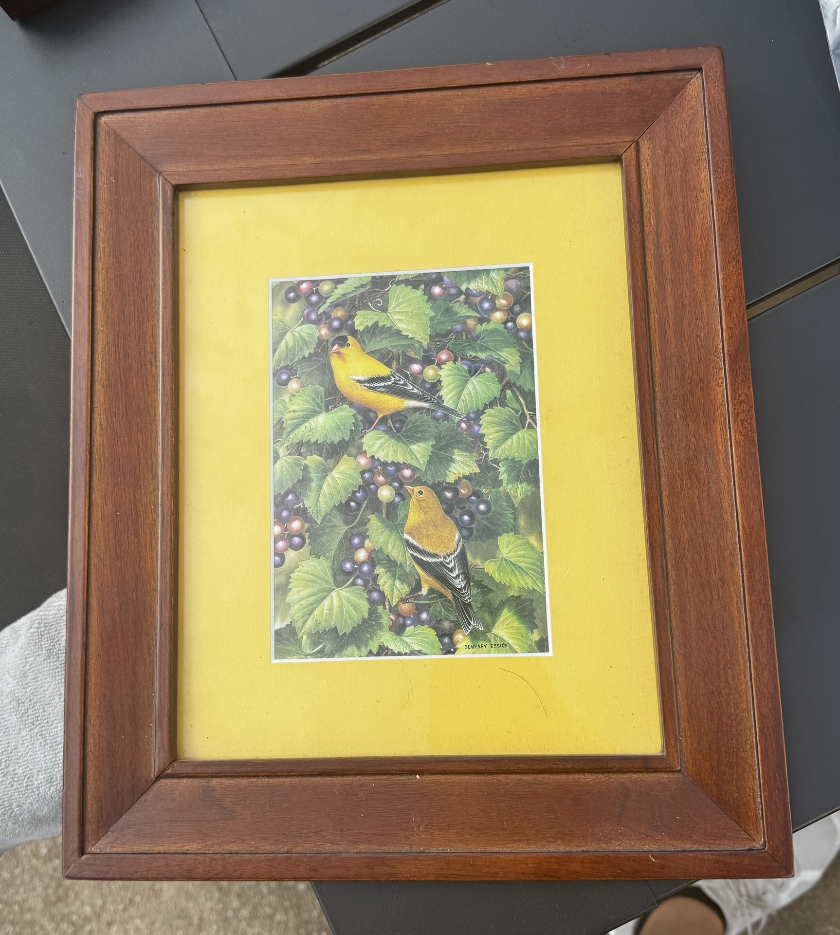 Beautiful Bright bird Photo