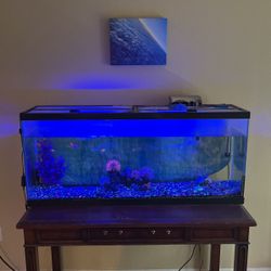 55 Gallon Fish Tank 