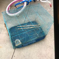 Bird Cage