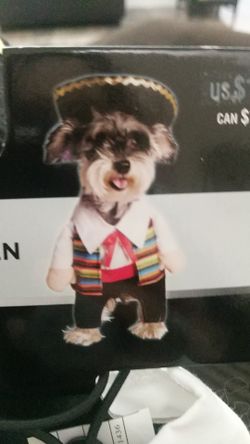 Dog Small Halloween costume