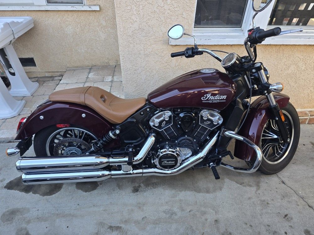 2022 Indian Scout