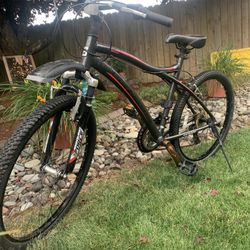 Mountain Bike 