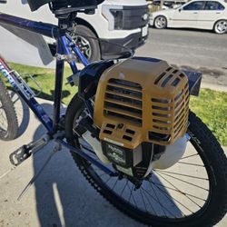 Has Motor On MT. BIKE, Raleigh M30