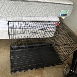Large Dog crate