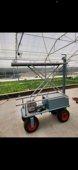 Electric Cart