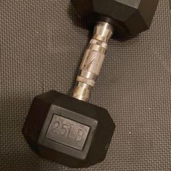 25 Pound Dumbbell