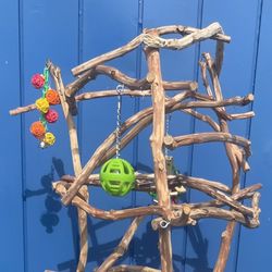 Tall Parrot Perch Tree / Our “ High Boy” Model Is Great For Those With Cats /Dogs Or Lil Kiddos ! 👍🏼