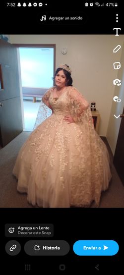 Vestido Dorado Con Tul Y Accesorios