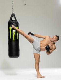 Monster Energy Drink Punching Bag (NEW)