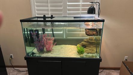 120 gallon tank