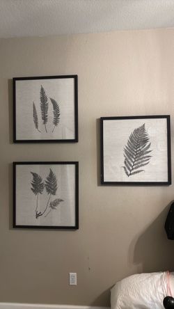Set of 3 26x26 pictures