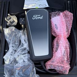 NEW Ford F150 Lightning And Mustang Mach E EV Charger 
