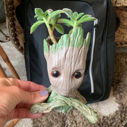 Baby Groot Succulent 