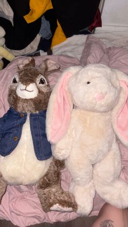 Peter Rabbit And Cream Color Bunny Plushies