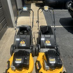 Dewalt Lawnmowers 