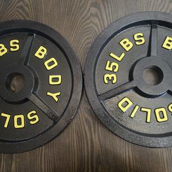 (2) 35  lbs Olympic Metal Plates