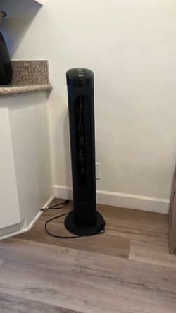Fan