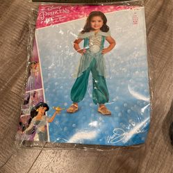 Disney Princess Jasmine costume