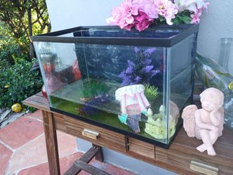 30 gallon fish tank
