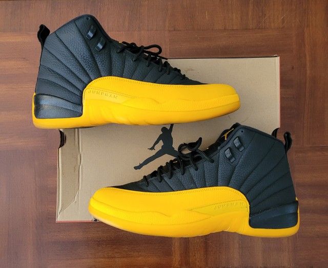 Jordan 12 Size 10