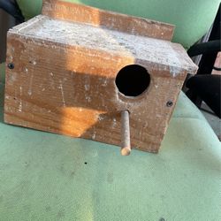 Bird Nest Both For 80 And 1 For 40