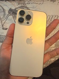 iPhone 13 Pro Max unlocked