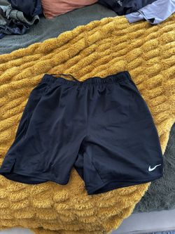 Nike Basketball Shorts (size L)