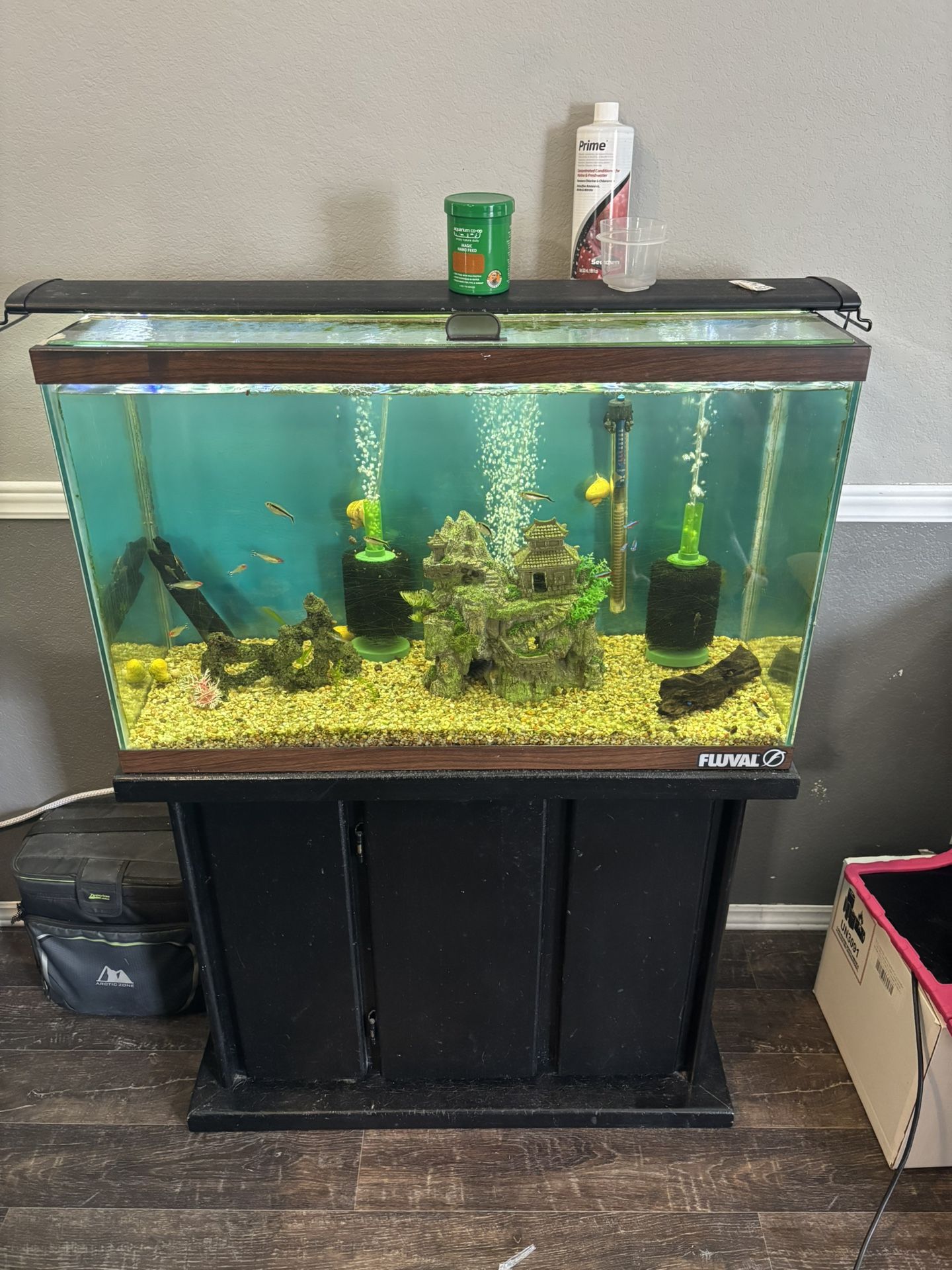 Aquarium/Fish Tank