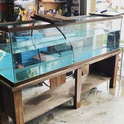 125 Fish Tank Complete 