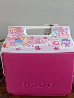 Sanrio Igloo