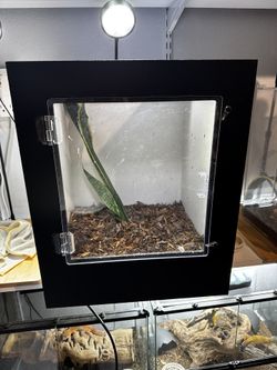 reptile tank 16x15x18