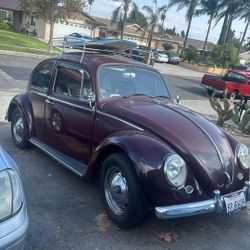 1966 Volkswagen Beetle