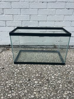10 Gallon Fish Tank