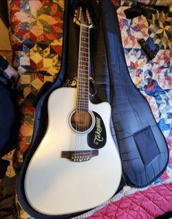 Takamine 12 strings